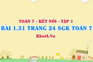 Bài 1.31 trang 24 SGK Toán 7 tập 1 Kết nối tri thức
